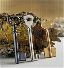 Mortice and Safe Key Blanks